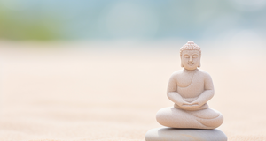 Zen Meditation Techniques