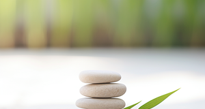 Adopting a Zen Lifestyle: Tips for Simplified Living